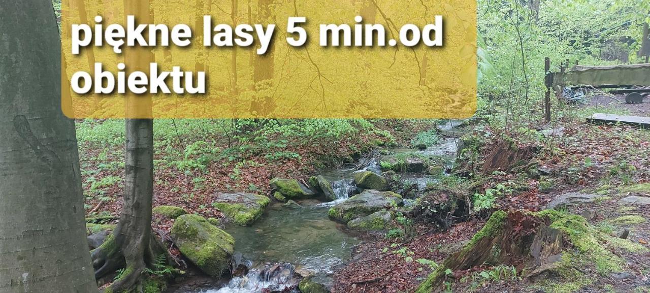 Villa Veronika Lądek-Zdrój المظهر الخارجي الصورة